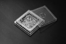 4孔细胞培养板 4 well Cell Culture Plate